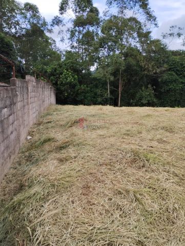 Foto Terreno