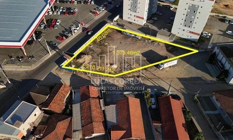 Foto Terreno