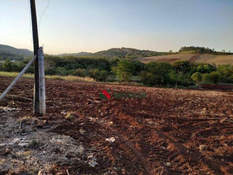 Foto Terreno