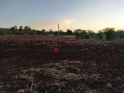 Foto Terreno