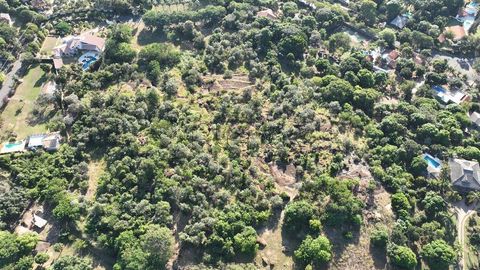 Foto Terreno