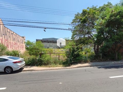 Foto Terreno