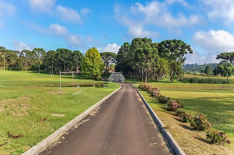 Foto Fazenda / Sítio / Chácara