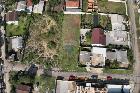 Foto Terreno