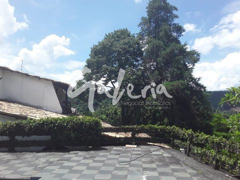 Foto Fazenda / Sítio / Chácara