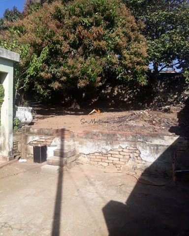 Foto Terreno