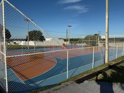 Foto Terreno