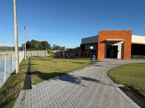 Foto Terreno