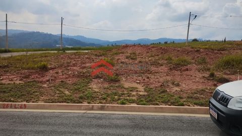 Foto Terreno