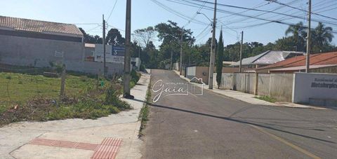 Foto Terreno