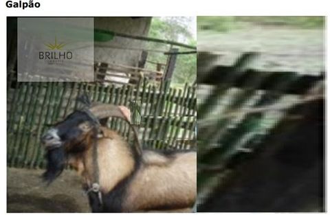 Foto Fazenda / Sítio / Chácara