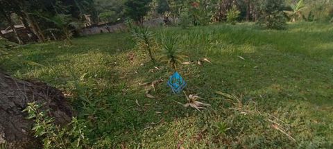 Foto Fazenda / Sítio / Chácara