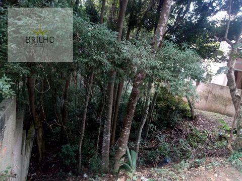 Foto Fazenda / Sítio / Chácara
