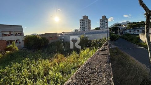 Foto Terreno