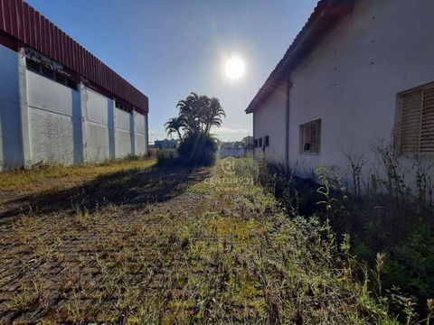 Foto Galpão / Depósito / Armazém / Pavilhão