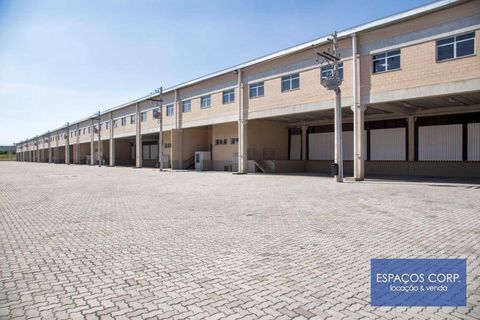 Foto Galpão / Depósito / Armazém / Pavilhão