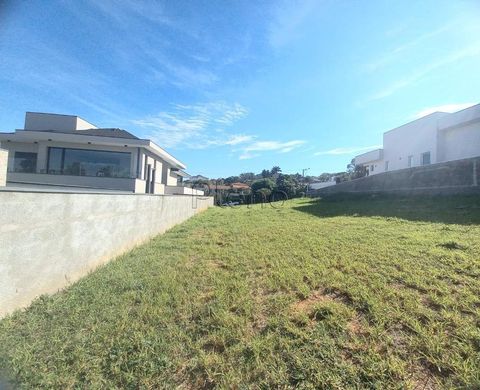 Foto Terreno