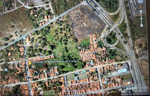 Foto Terreno