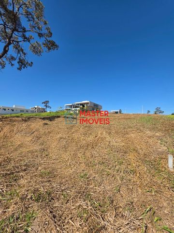 Foto Terreno