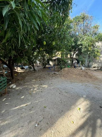 Foto Terreno