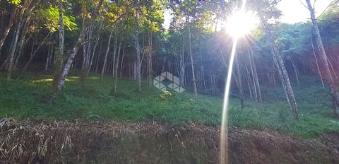 Foto Terreno