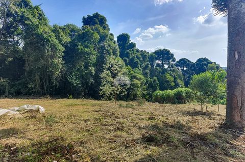 Foto Terreno