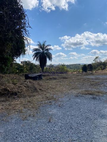 Foto Terreno