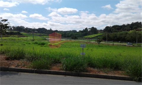 Foto Terreno