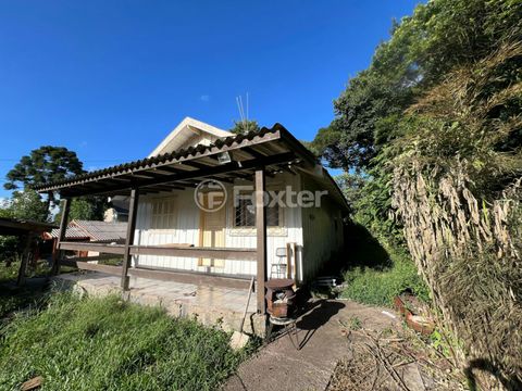Foto Galpão / Depósito / Armazém / Pavilhão