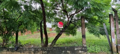 Foto Terreno