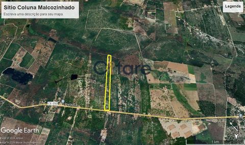 Foto Terreno