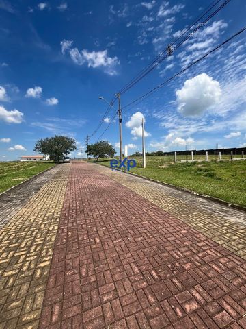 Foto Terreno