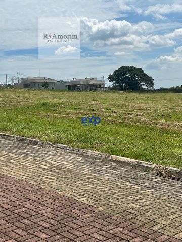Foto Terreno
