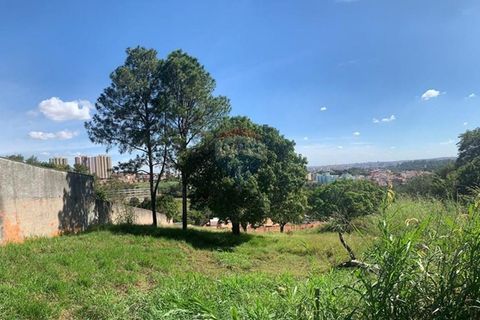 Foto Terreno