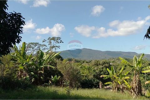 Foto Terreno