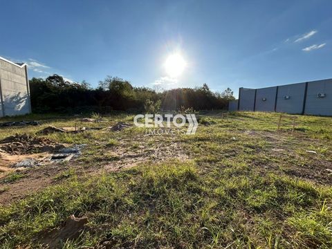 Foto Terreno