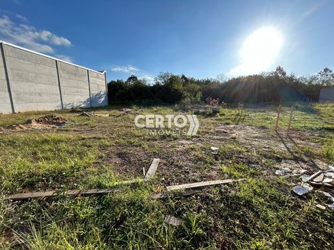 Foto Terreno