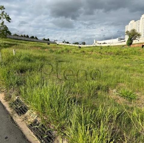Foto Terreno