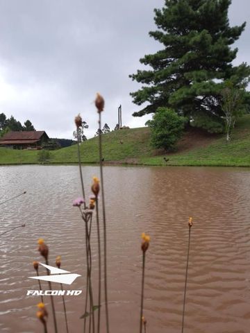 Foto Fazenda / Sítio / Chácara