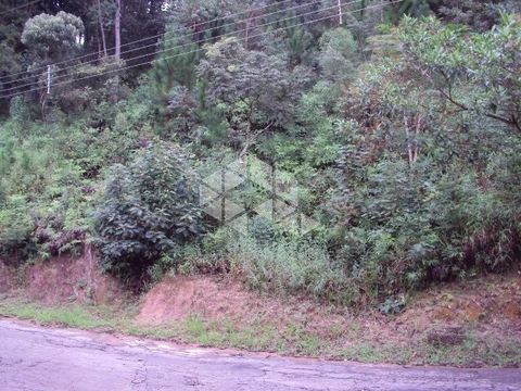 Foto Terreno