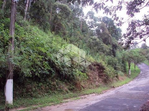 Foto Terreno