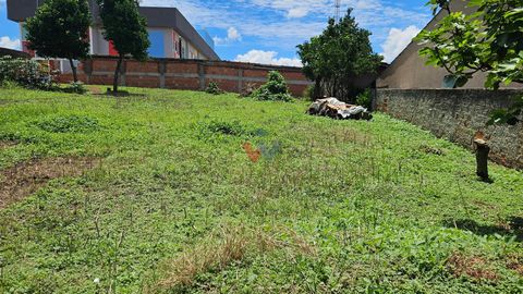 Foto Terreno
