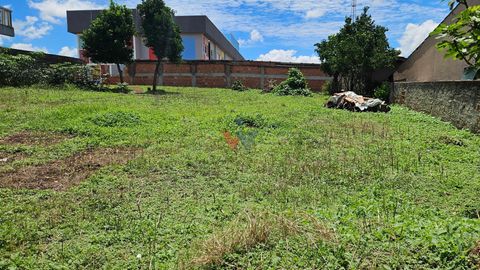Foto Terreno