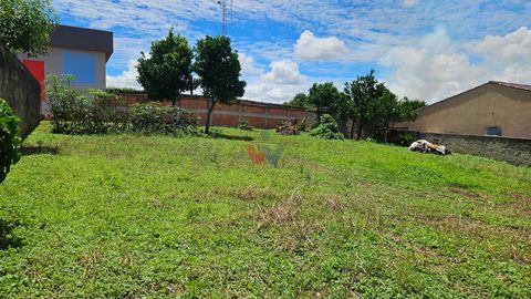 Foto Terreno