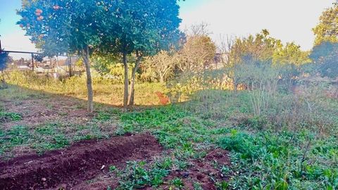 Foto Terreno