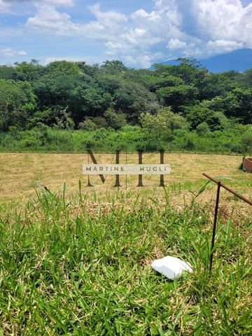 Foto Terreno