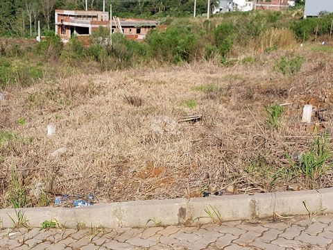 Foto Terreno