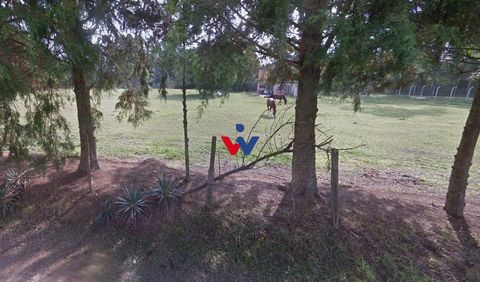 Foto Terreno