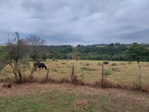 Foto Fazenda / Sítio / Chácara