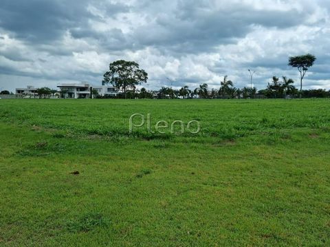 Foto Terreno